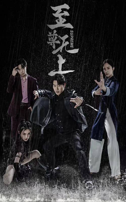 至尊无上 短剧版海报